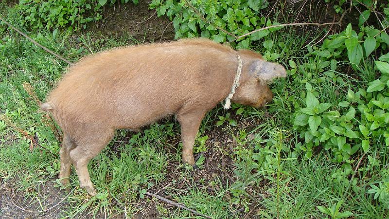 Illampu Trek Steves (217).JPG